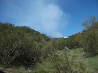 anobello-01042012 103